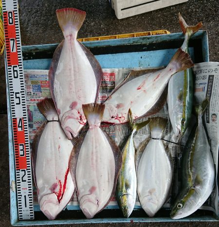 明神釣船 釣果