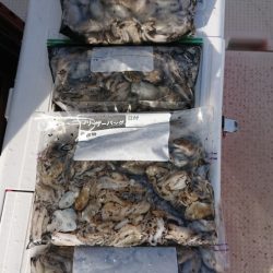 オーフリー 釣果