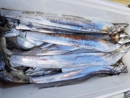 オーフリー 釣果