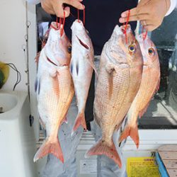 松本釣船2 釣果