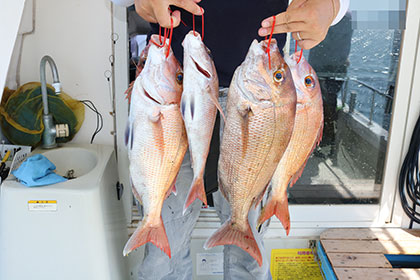 松本釣船2 釣果