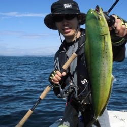 ルアー船マヒマヒ 釣果