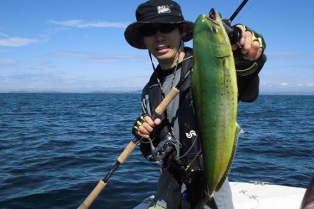 ルアー船マヒマヒ 釣果