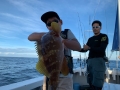オーシャンキッズ 釣果