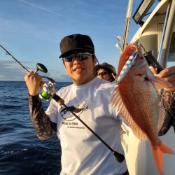 ブルーピア 釣果