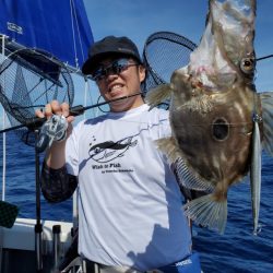 ブルーピア 釣果