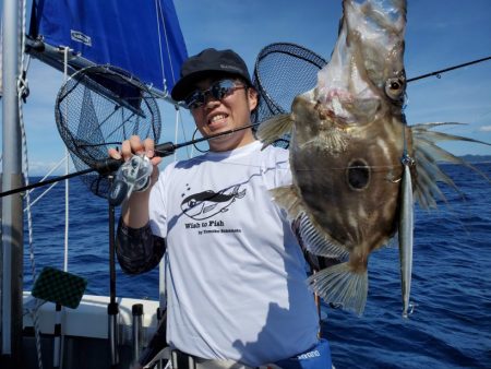 ブルーピア 釣果