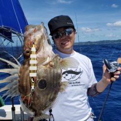 ブルーピア 釣果