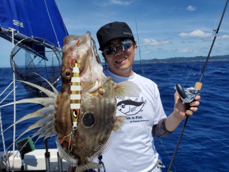 ブルーピア 釣果