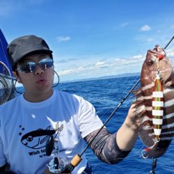 ブルーピア 釣果