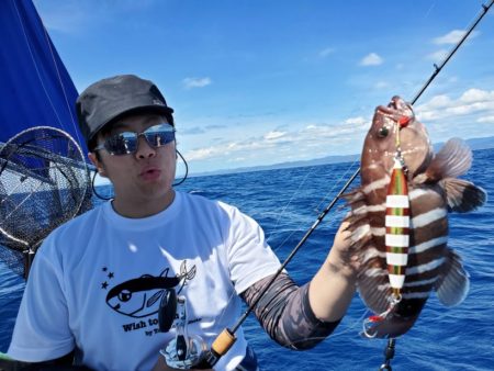 ブルーピア 釣果