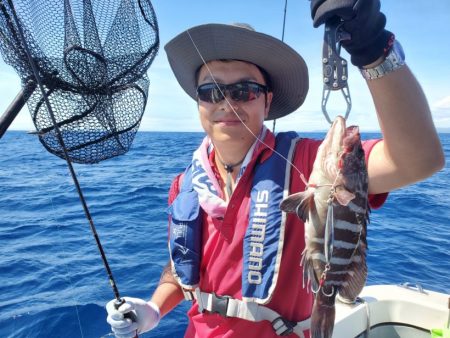 ブルーピア 釣果