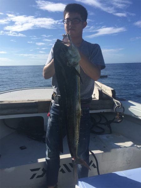 マタウマリンサービス 釣果