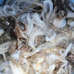 松本釣船２ 釣果