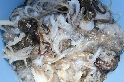 松本釣船２ 釣果