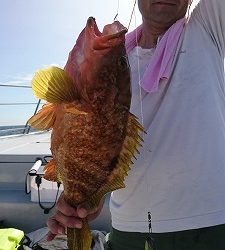 海龍丸(福岡) 釣果