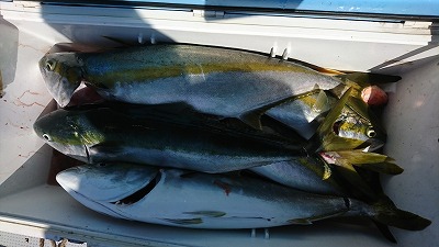 海龍丸(福岡) 釣果