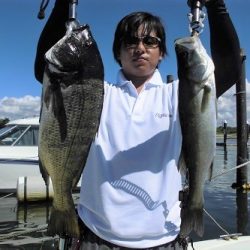 ルアー船マヒマヒ 釣果