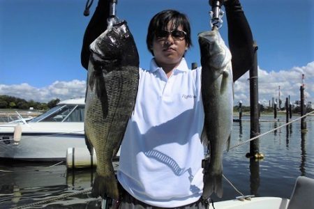 ルアー船マヒマヒ 釣果