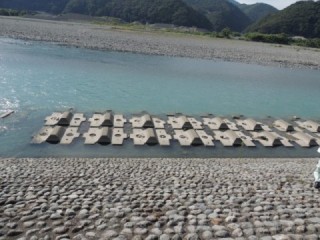 大井川（大井川(非)漁業協同組合） 釣果