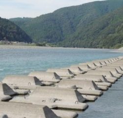 大井川(大井川(非)漁業協同組合) 釣果