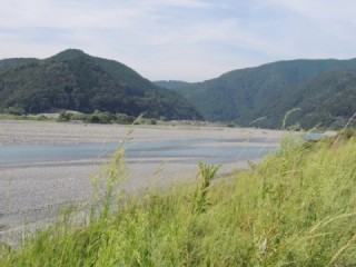 大井川（大井川(非)漁業協同組合） 釣果