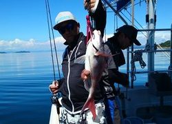 愛裕南丸 釣果