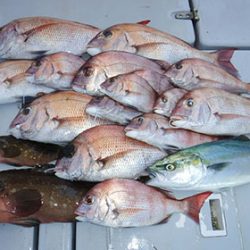 松本釣船２ 釣果