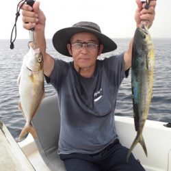 ルアー船マヒマヒ 釣果
