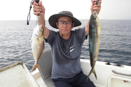 ルアー船マヒマヒ 釣果