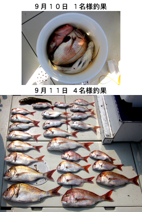 来温丸（らいおんまる） 釣果