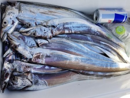 オーフリー 釣果