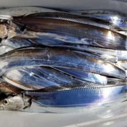 オーフリー 釣果