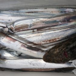 オーフリー 釣果