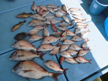 十八宝洋丸 釣果