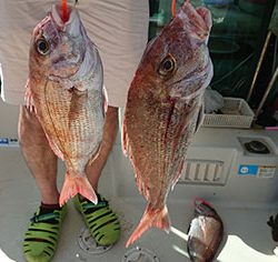 松本釣船２ 釣果