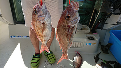 松本釣船２ 釣果