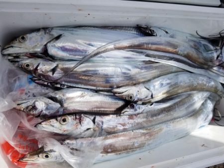 オーフリー 釣果