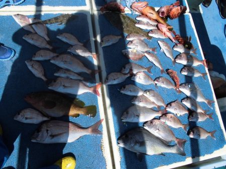 十八宝洋丸 釣果