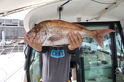 松本釣船２ 釣果