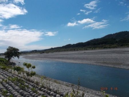 大井川(大井川(非)漁業協同組合) 釣果