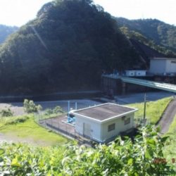 大井川(大井川(非)漁業協同組合) 釣果