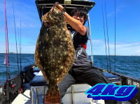 オーシャンマスター 釣果