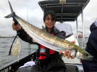 オーシャンマスター 釣果