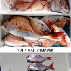 来温丸(らいおんまる) 釣果