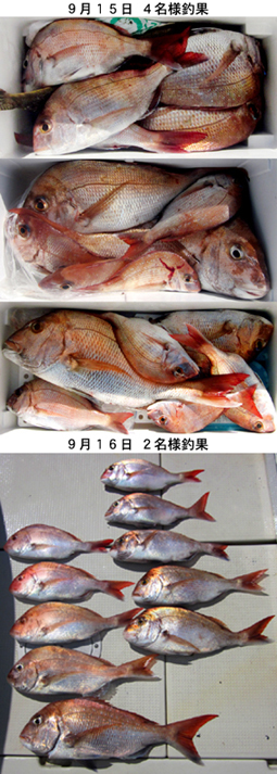 来温丸（らいおんまる） 釣果