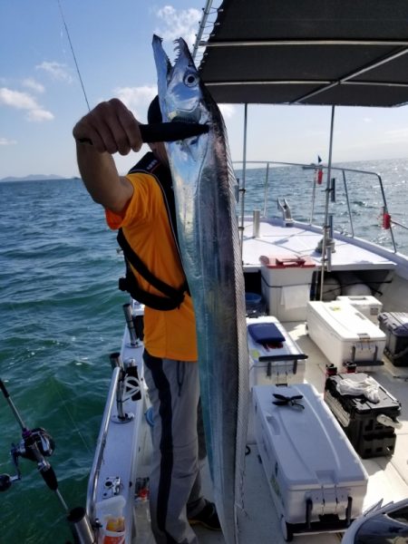 オーフリー 釣果