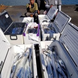 オーフリー 釣果