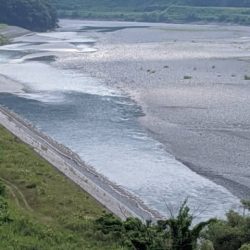 大井川（大井川(非)漁業協同組合） 釣果