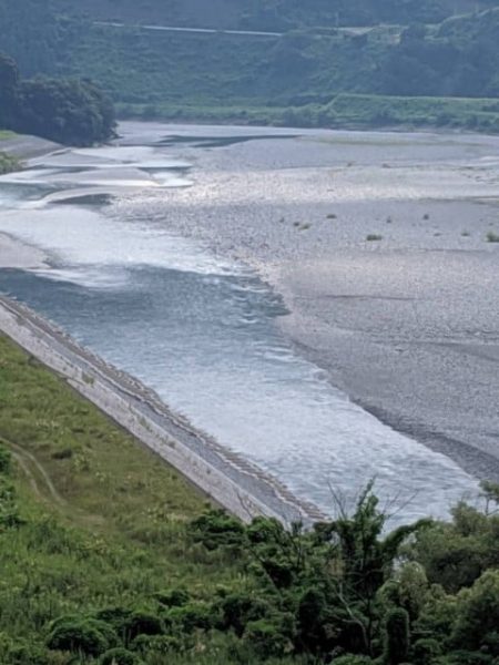 大井川（大井川(非)漁業協同組合） 釣果